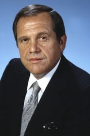 Alan King as Andy Stone in Casino